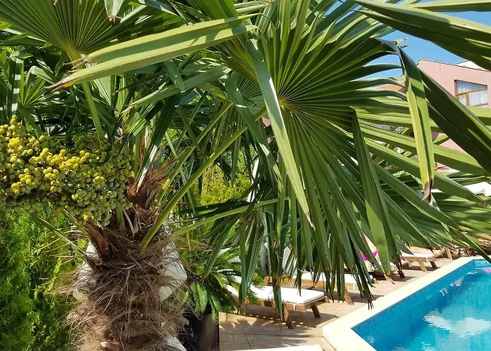 Aria Complex Lejlighedshotel Sveti Vlas