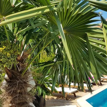 Aria Complex Апартхотел Свети Влас